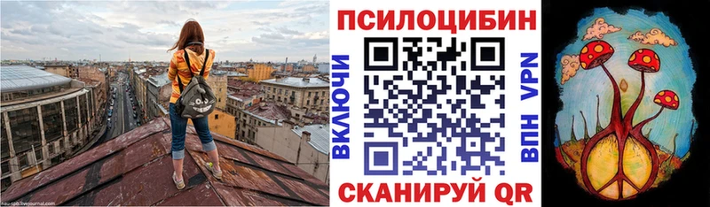 Псилоцибиновые грибы прущие грибы  блэк спрут ссылки  Холм 